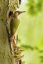BUITEN BEELD Foto: 434932