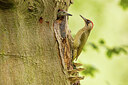 BUITEN BEELD Foto: 434944