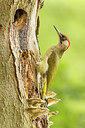 BUITEN BEELD Foto: 434947