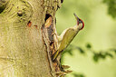 BUITEN BEELD Foto: 434948