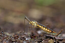 BUITEN BEELD Foto: 434975