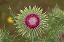 BUITEN BEELD Foto: 434985