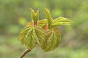 BUITEN BEELD Foto: 434995