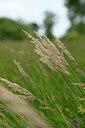 BUITEN BEELD Foto: 435008