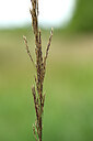 BUITEN BEELD Foto: 435010