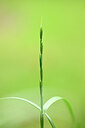 BUITEN BEELD Foto: 435014