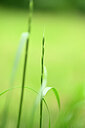 BUITEN BEELD Foto: 435016