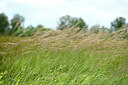 BUITEN BEELD Foto: 435017