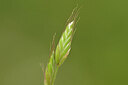 BUITEN BEELD Foto: 435018
