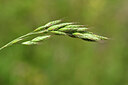 BUITEN BEELD Foto: 435019