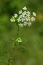 BUITEN BEELD Foto: 435024