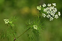 BUITEN BEELD Foto: 435025