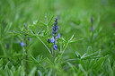 BUITEN BEELD Foto: 435029