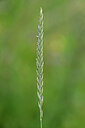 BUITEN BEELD Foto: 435030