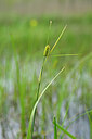 BUITEN BEELD Foto: 435035