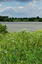 BUITEN BEELD Foto: 435036