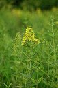BUITEN BEELD Foto: 435037