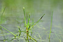BUITEN BEELD Foto: 435043