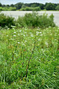 BUITEN BEELD Foto: 435051