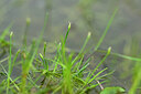 BUITEN BEELD Foto: 435052
