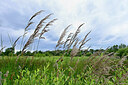 BUITEN BEELD Foto: 435053