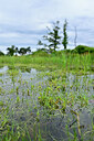 BUITEN BEELD Foto: 435061