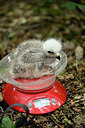 BUITEN BEELD Foto: 435064
