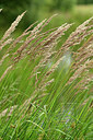 BUITEN BEELD Foto: 435065