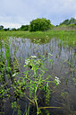 BUITEN BEELD Foto: 435067