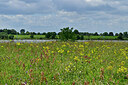 BUITEN BEELD Foto: 435068