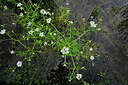 BUITEN BEELD Foto: 435070