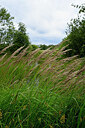 BUITEN BEELD Foto: 435071