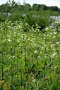 BUITEN BEELD Foto: 435072