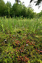 BUITEN BEELD Foto: 435073