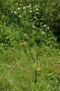 BUITEN BEELD Foto: 435074