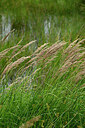 BUITEN BEELD Foto: 435076