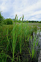 BUITEN BEELD Foto: 435077