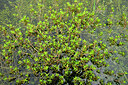 BUITEN BEELD Foto: 435081