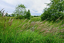 BUITEN BEELD Foto: 435084