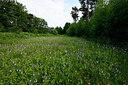BUITEN BEELD Foto: 435086
