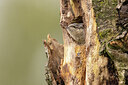BUITEN BEELD Foto: 435092