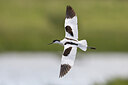 BUITEN BEELD Foto: 435093
