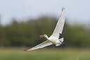 BUITEN BEELD Foto: 435099