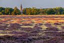 BUITEN BEELD Foto: 435115