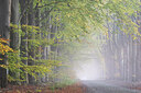 BUITEN BEELD Foto: 435116