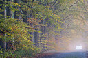 BUITEN BEELD Foto: 435117