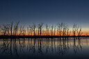 BUITEN BEELD Foto: 435118