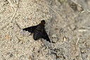 BUITEN BEELD Foto: 435120