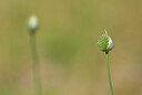 BUITEN BEELD Foto: 435121