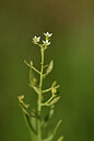 BUITEN BEELD Foto: 435122